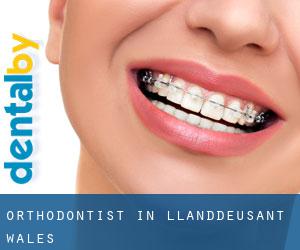 Orthodontist in Llanddeusant (Wales)