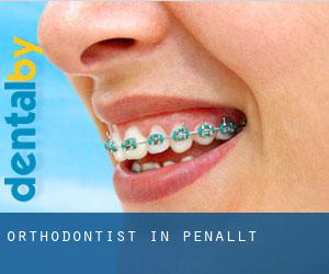 Orthodontist in Penallt