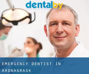 Emergency Dentist in Ardnagrask