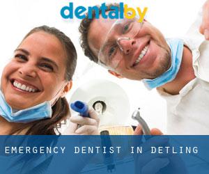 Emergency Dentist in Detling