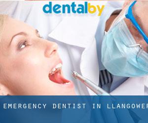 Emergency Dentist in Llangower