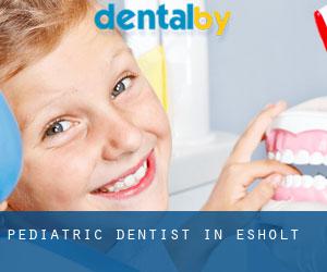 Pediatric Dentist in Esholt