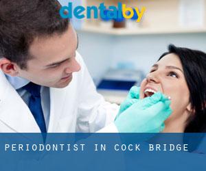 Periodontist in Cock Bridge