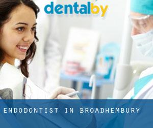 Endodontist in Broadhembury