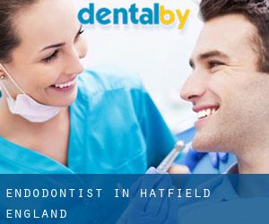 Endodontist in Hatfield (England)