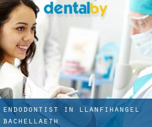 Endodontist in Llanfihangel Bachellaeth
