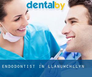Endodontist in Llanuwchllyn