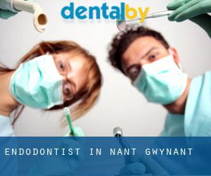 Endodontist in Nant Gwynant